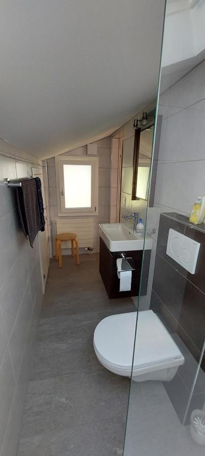 Chalet Sunnmaetteli Wilderswil Ngoại thất bức ảnh